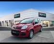 Fiat Panda 1.0 FireFly Hybrid Rosso - thumbnail 1