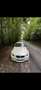 BMW 320 320d Cabrio Msport Bianco - thumbnail 3