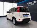 Fiat Panda 1.0 hybrid s&s 70cv 5p.ti - PROMO Wit - thumbnail 27