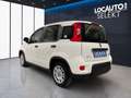 Fiat Panda 1.0 hybrid s&s 70cv 5p.ti - PROMO Blanc - thumbnail 5