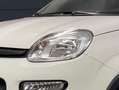 Fiat Panda 1.0 hybrid s&s 70cv 5p.ti - PROMO Blanc - thumbnail 26