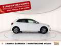 Volkswagen Polo 1.0 tsi edition plus 95cv Alb - thumbnail 7