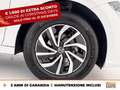 Volkswagen Polo 1.0 tsi edition plus 95cv Alb - thumbnail 16