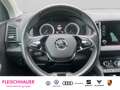 Skoda Karoq 1.5 TSI Clever AHK Navi Einparkhilfe LED Grau - thumbnail 10