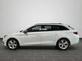 SEAT Leon Sportstourer FR 1.5 eTSI DSG CarPlay Rückfa Weiß - thumbnail 7