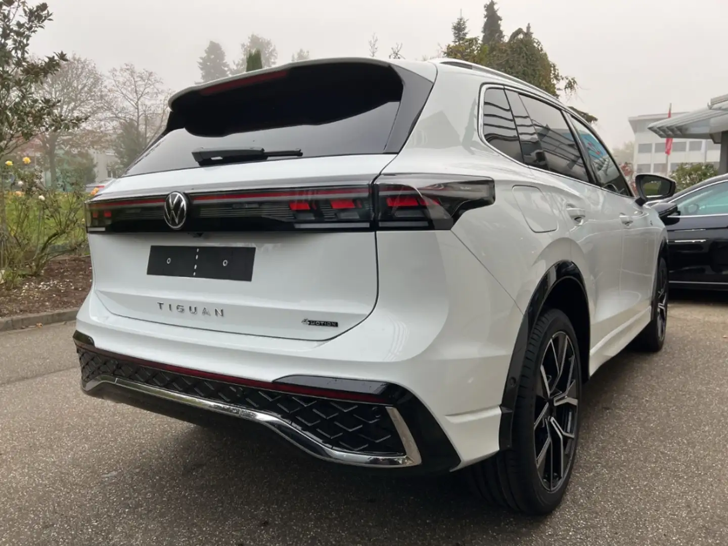 Volkswagen Tiguan R-Line 2.0 TDI 4MOTION AHK IQ.Light HD Weiß - 2