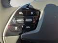 Kia e-Niro Niro EV Long Range 64kWh Gold Aut. Grau - thumbnail 16
