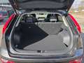 Kia e-Niro Niro EV Long Range 64kWh Gold Aut. Grau - thumbnail 10