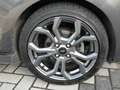 Ford Fiesta Fiesta VII 2017 5p 5p 1.0 ecoboost ST-Line s Grau - thumbnail 6