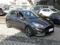 Ford Fiesta Fiesta VII 2017 5p 5p 1.0 ecoboost ST-Line s Grau - thumbnail 1