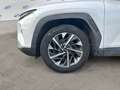 Hyundai TUCSON 1.6 crdi Xline 2wd Weiß - thumbnail 14