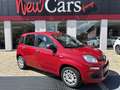 Fiat Panda 1.2 Easy Rosso - thumbnail 1