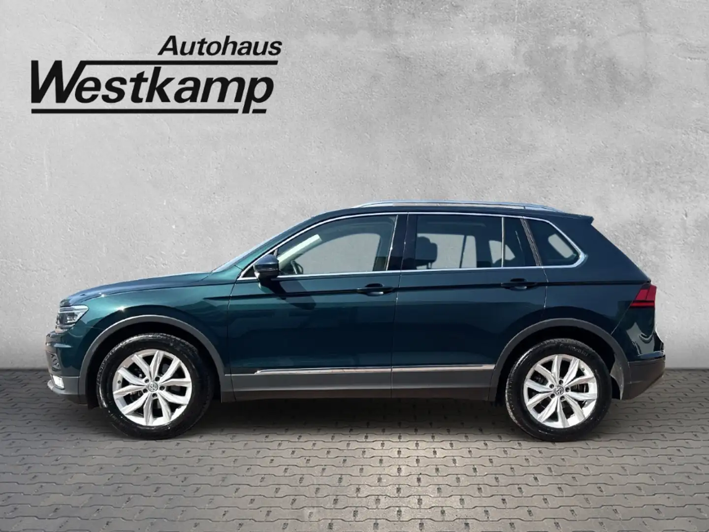 Volkswagen Tiguan 1.4 Comfortline 1,4 TSI ACT Leder Panodach Grün - 2
