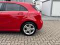 Mercedes-Benz A 180 BlueEfficiency Style Bi-Xenon Park-Assist. Rojo - thumbnail 24