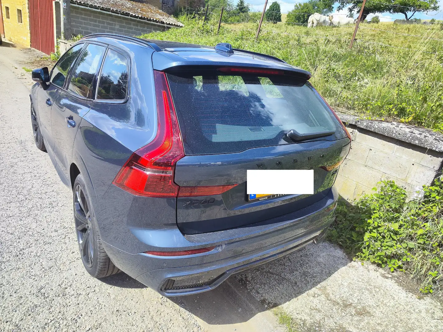 Volvo XC60 XC60 T6 AWD Plug-in Hybrid Plus Black Edition Bleu - 2