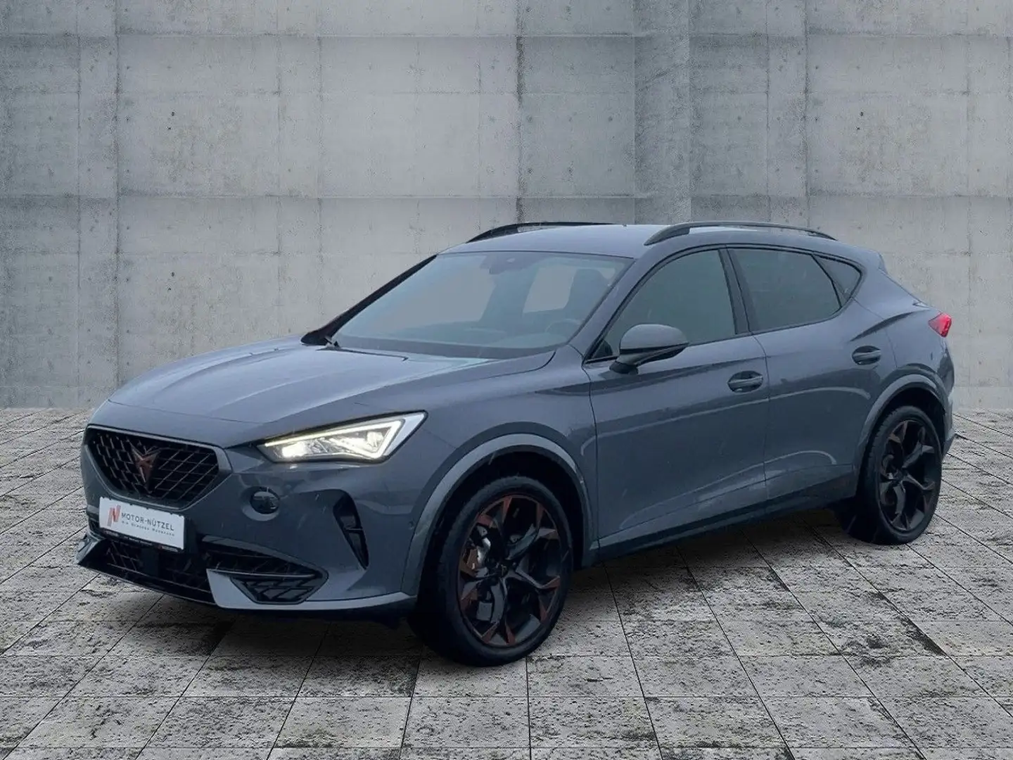 CUPRA Formentor VZ 2.0 TSI 4DRIVE Voll-LED+NAV+ACC+RFK Grau - 2