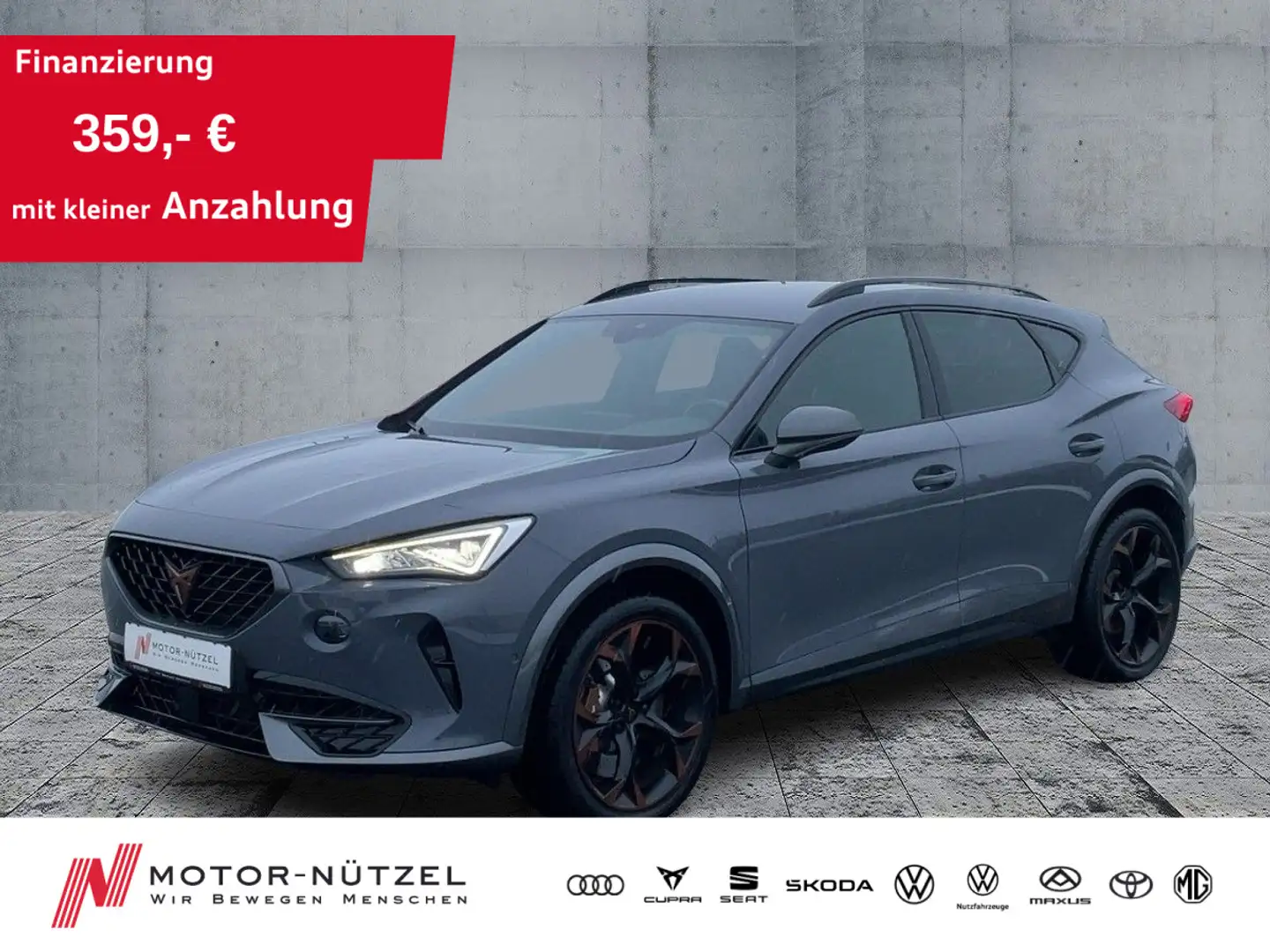 CUPRA Formentor VZ 2.0 TSI 4DRIVE Voll-LED+NAV+ACC+RFK Grau - 1