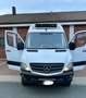 Mercedes-Benz Sprinter 316 4x4, Tiefkül Carrier Xarios -20c, L3 H2, Klim Blanc - thumbnail 18