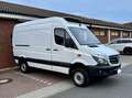 Mercedes-Benz Sprinter 316 4x4, Tiefkül Carrier Xarios -20c, L3 H2, Klim Blanc - thumbnail 11
