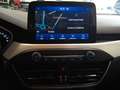Ford Focus Trend Plus Grigio - thumbnail 15