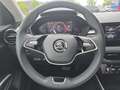 Skoda Fabia Selection TSI DSG Grau - thumbnail 15