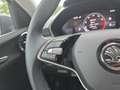 Skoda Fabia Selection TSI DSG Grau - thumbnail 12