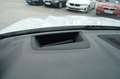 BMW X5 xDrive45e Weiß - thumbnail 19