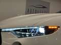 Maserati Levante V6 Diesel 275CV Q4 GranSport/TETTO/360* Alb - thumbnail 20