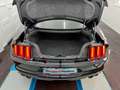 Ford Mustang 5.2 V8 SHELBY GT-350/Track Paket/BHZ+SBL Schwarz - thumbnail 41