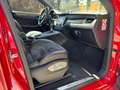 Porsche Macan Macan GTS Aut. Violet - thumbnail 12