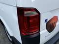 Volkswagen 2.0 TDI L1H1 9-Persoons/Airco/Nieuw model/Cruise c Білий - thumbnail 29