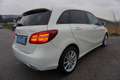 Mercedes-Benz B 200 d 4MATIC Aut. Weiß - thumbnail 6