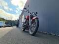 Harley-Davidson Dyna Wide Glide Shovelhead FXWG Rojo - thumbnail 3