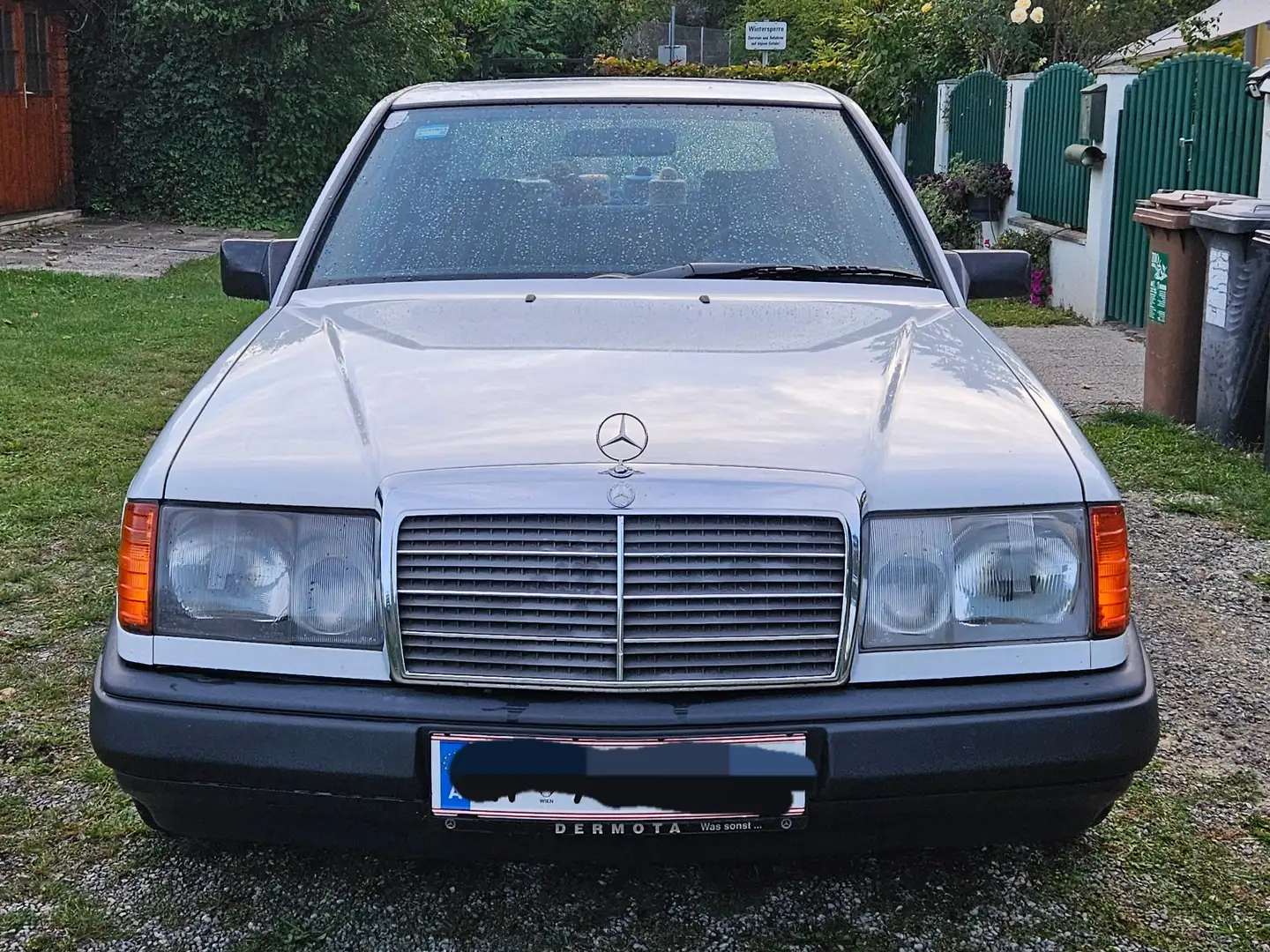 Mercedes-Benz 230 230 TE Weiß - 1