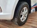 Nissan Navara 2.3 dCi 4WD King Cab Acenta 4 POSTI 4 PORTE Bianco - thumbnail 6