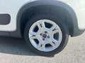 Fiat Panda 1.0 FireFly S&S Hybrid City Cross LED CAR PLAY PDC Bianco - thumbnail 8