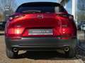 Mazda CX-30 e-SKYACTIV-G 140 M-Hybrid Exclusive-Line Rot - thumbnail 4