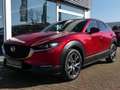 Mazda CX-30 e-SKYACTIV-G 140 M-Hybrid Exclusive-Line Rot - thumbnail 6