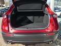 Mazda CX-30 e-SKYACTIV-G 140 M-Hybrid Exclusive-Line Rot - thumbnail 8