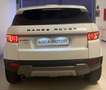 Land Rover Range Rover Evoque Range Rover Evoque 2.2 TD4 5p. Pure Tech Pack Bianco - thumbnail 4