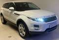 Land Rover Range Rover Evoque Range Rover Evoque 2.2 TD4 5p. Pure Tech Pack Bianco - thumbnail 2