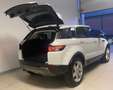 Land Rover Range Rover Evoque Range Rover Evoque 2.2 TD4 5p. Pure Tech Pack Bianco - thumbnail 12
