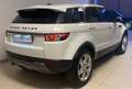 Land Rover Range Rover Evoque Range Rover Evoque 2.2 TD4 5p. Pure Tech Pack Bianco - thumbnail 3