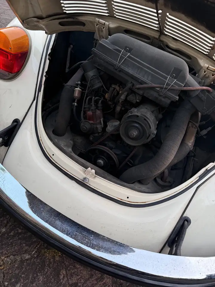 Volkswagen Maggiolino, foto 3