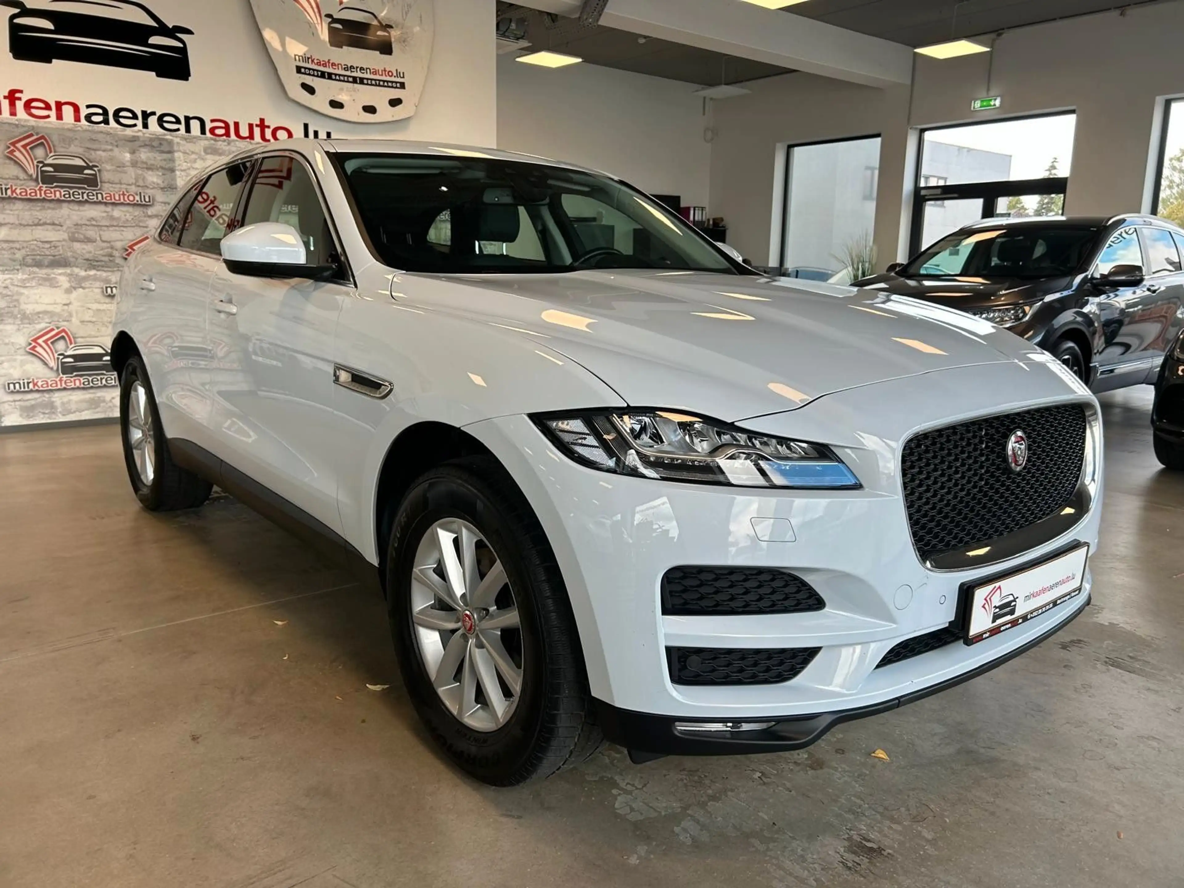 Jaguar F-Pace AWD*NAVI*LEDER*PANO*R-KAMERA*SHZ* — photo 2