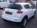 Nissan Juke 1.6  BLUETOOTH..CRUISE..PDC..C.LEGA 17" White - thumbnail 4