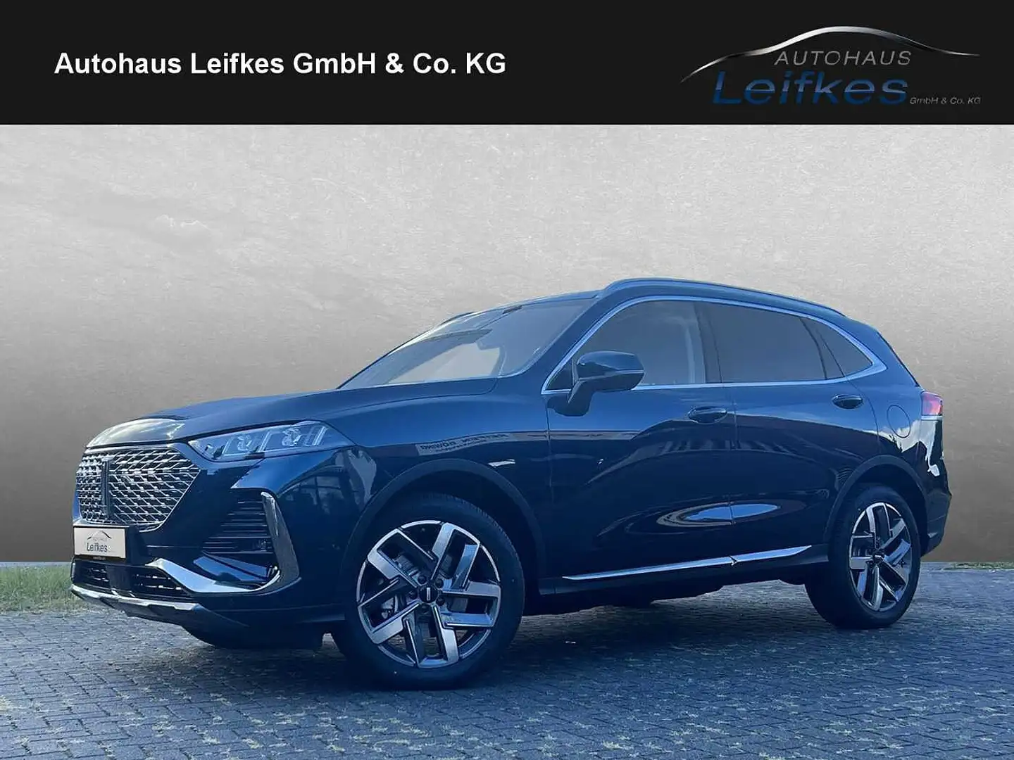 GWM WEY 03 Luxury Blau - 1