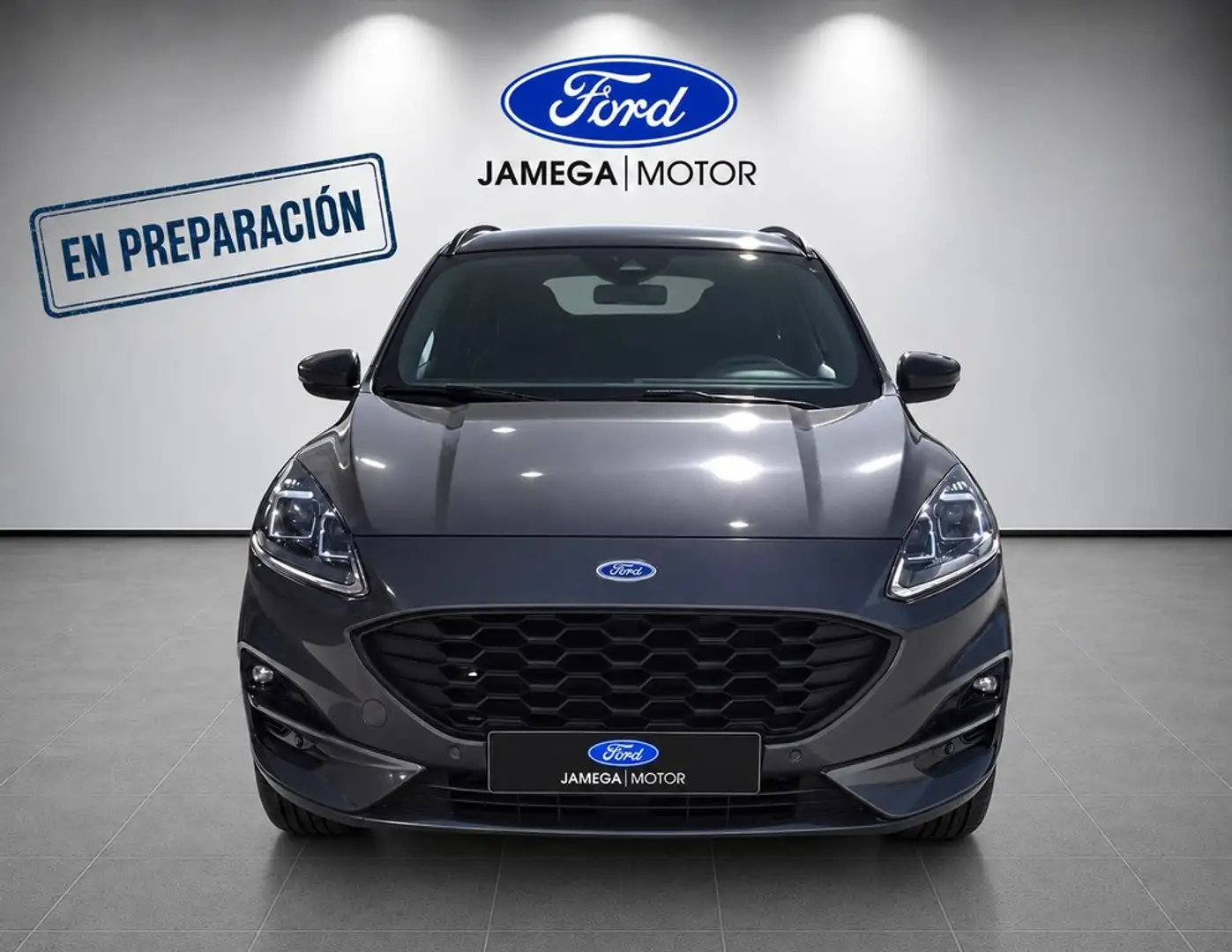 Ford Kuga 1.5 EcoBlue ST-Line FWD 120 Gris - 2