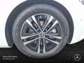 Mercedes-Benz B 220 d PROGRESSIVE+PANO+AHK+LED+KAMERA+TOTW+8G Blanc - thumbnail 6