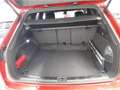 Volkswagen Touareg 3.0 TDI R-LINE BLACKSTYLE UPE119 LUFT LM Rot - thumbnail 6
